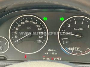 Xe BMW 3 Series 320i 2015